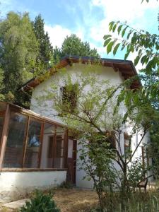 a small white house with windows and a tree at Casa Blanca in San Carlos de Bariloche