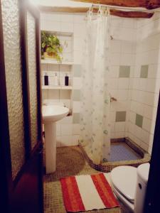 a bathroom with a sink and a toilet and a shower at Cortijo Rural Violeta in Órgiva