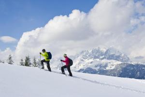 Alpenappartement Europa v zime