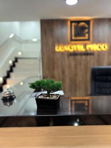 Φωτογραφία από το άλμπουμ του Hotel LUXOTEL PISCO σε Pisco