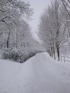 B&B Il Quadrifoglio during the winter