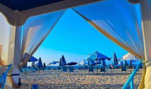 a group of blue umbrellas and chairs on a beach at Chalet 3 room marina 5 in El Alamein