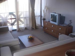 Una sala de estar con un sofá y un televisor. en Snezhanka Apartments TMF, en Pamporovo