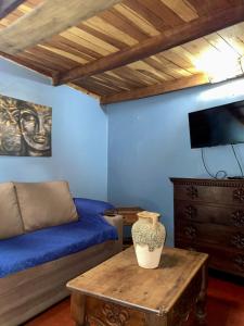 TV a/nebo společenská místnost v ubytování Hotel Boruca Tamarindo