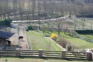 Táj Show country houses közelében