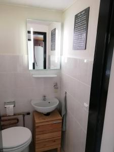 a bathroom with a sink and a toilet and a mirror at Ferienhaus Berganker in Willingen in Willingen +4 photos