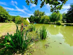 Évasion Nature: Tipi sur Pilotis avec Étang, Barque et Pétanque à Maulde, Frontière Belge - FR-1-510-148 في Maulde: بركة يوجد امامها بعض النباتات