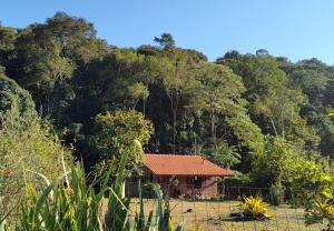 a small house in the middle of a forest at Chalé Vale das Flores - Visconde de Mauá Rj in Visconde De Maua