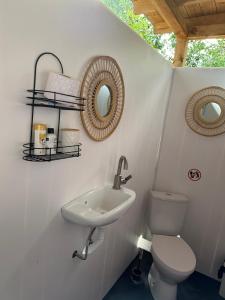a bathroom with a toilet and a sink and a mirror at Каравана Синята Маймуна плаж Градина # RV Blue Monkey on the beach in Chernomorets +30 photos