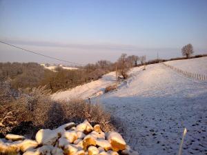 Photo de la galerie de l'établissement Domaine de Noyer, à Saint-Christophe-en-Brionnais 15 autres photos