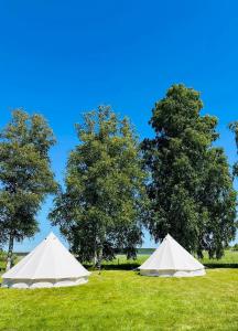Příroda nedaleko luxury tent