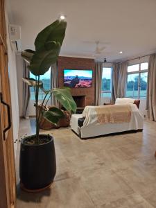 ein Schlafzimmer mit einem Bett und einer Topfpflanze in der Unterkunft Casa barrio privado in Laguna Brava