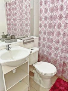a bathroom with a sink and a toilet and a shower at Departamento céntrico, acogedor y bien equipado in Concepción +15 photos