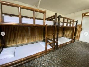 Letto o letti a castello in una camera di Backpacker Kawah Ijen