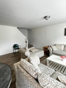 een woonkamer met twee banken en een tafel bij Peaceful room in new house in Raleigh Downtown Area in Raleigh