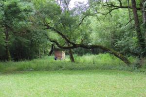 Photo de la galerie de l'établissement Permaculture Moulin de Gaudun, à Montréal