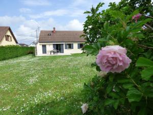 a pink rose in the yard of a house at Terre et Mer, maison avec jardin in Quend +11 photos