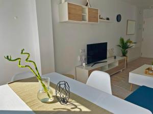 TV a/nebo společenská místnost v ubytování Apartamento Aurora - Ole Solutions