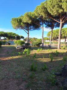 a park with trees and a bench in the grass at Mimilou Eleuthera 300 m centre naturiste in Cap d'Agde