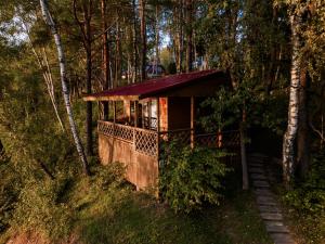 a tree house in the middle of the woods at Sventes Rasa in Kaķīši