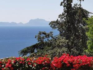 Paesaggio naturale nelle vicinanze dell'appartamento