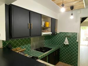Una cocina con azulejos verdes y gabinetes negros. en Mzelle Pipine, en Saint-Pierre
