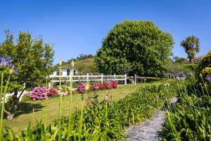 A garden outside Casona Las Cinco Calderas