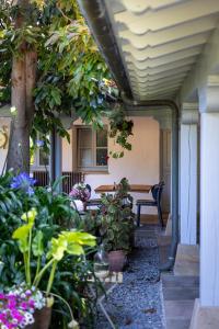 A garden outside Casona Las Cinco Calderas
