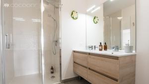 une salle de bain avec une douche, un lavabo et un miroir dans l'établissement VANNES ROOF TOP 2 a 4 a 6 a 8 pers 120 m plein sud EXCEPTIONNEL, à Vannes 93 autres photos