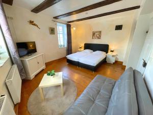 una camera da letto con un letto, un divano e una TV di Monteurwohnungen - Pension Am Schloss a Teistungen
