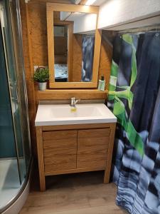 łazienka z umywalką i lustrem w obiekcie Vacation Home Pani haje w mieście Moravany