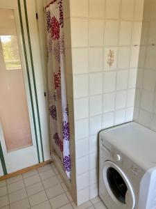 een wasmachine in een badkamer met een douche bij Residence Leonardo sul mare in Silvi Marina