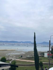een uitzicht op een strand met een boom op de voorgrond bij CASA NIEVES Centro Moaña in Moaña +29 foto's