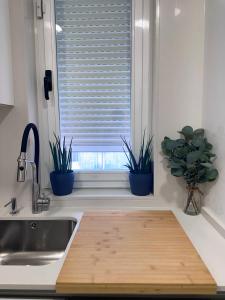 een keuken met twee potplanten en een raam bij CASA NIEVES Centro Moaña in Moaña