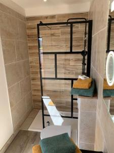 a bathroom with a toilet and a shower at Le Pas Sans Peine in Le Cergne +74 photos