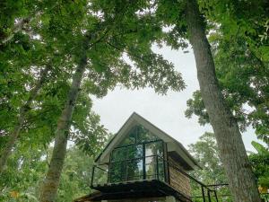 a small house in the middle of two trees at Cabin Camping at Balay Hilway in Sara +10 photos