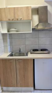 Kuchyň nebo kuchyňský kout v ubytování Velonis Apartments