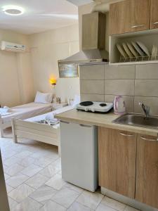 Kuchyň nebo kuchyňský kout v ubytování Velonis Apartments + 24 fotografií