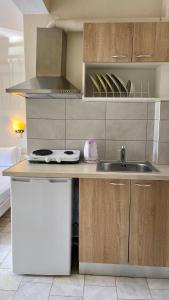 Kuchyň nebo kuchyňský kout v ubytování Velonis Apartments