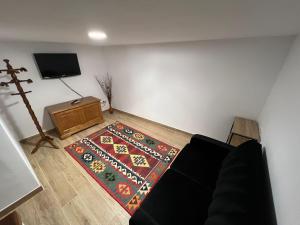 ein Wohnzimmer mit einer Couch, einem Fernseher und einem Teppich in der Unterkunft MartinVidal 1 in Luarca