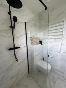 a bathroom with a toilet and a glass shower at Rami Jūra 2022 in Šventoji +30 photos