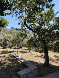 Gallery image of Green Garden appartment with mountain view, Vitala in Kriniánoi