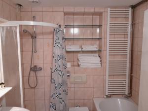 Koupelna v ubytování Hotel Pri Belokranjcu + 32 fotografií