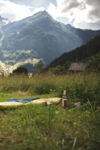a surfboard laying on the grass in a field at Tanafreida Berg-Refugium in Sankt Gallenkirch