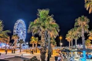 a park with palm trees and a ferris wheel at Maison à 150 m Plage 6LT221 in Saint Pierre La Mer