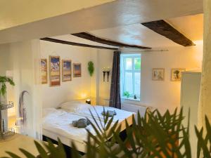 una camera da letto con un letto e una finestra di Monteurwohnungen - Pension Am Schloss a Teistungen