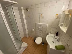 um banheiro com vaso sanitário, pia e chuveiro em einfach am Torbogen em Marktbreit mais 2 fotografias