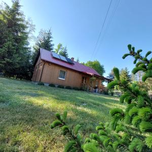 Gallery image of ŚwierkoweAgro - dom na wyłączność nad Zalewem Biszcza-Żary in Żary