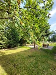 Gallery image of ŚwierkoweAgro - dom na wyłączność nad Zalewem Biszcza-Żary in Żary +25 photos