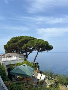a tree sitting on top of a hill next to the ocean at Loft Il Castello con terrazza sul mare in Riomaggiore